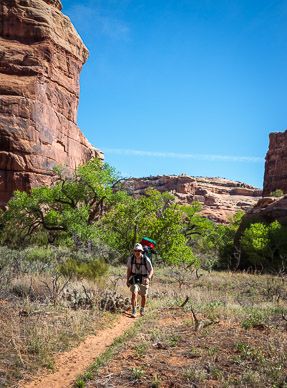 Bob Enjoying the "Sites"