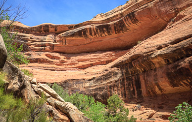 Todie Canyon alcove with many Ruins