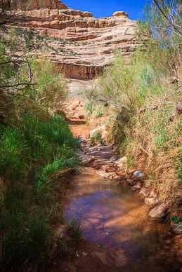 Coyote Canyon (typcal water source)