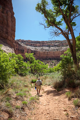 Going for water in Coyote Canyon