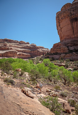 Going for water in Coyote Canyon