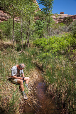 Filtering water in Coyote Canyon