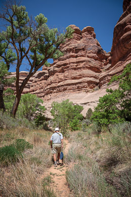 Returning with water in Coyote Canyon