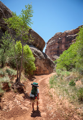 Morning hike down Grand Gulch