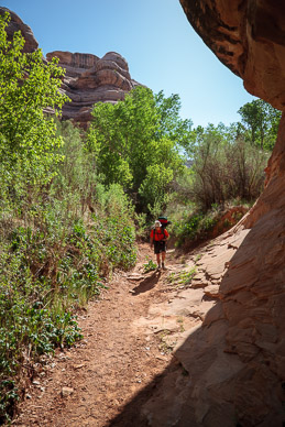 Another morning walk in Grand Gullch