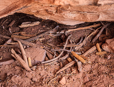 Jailhouse Ruins in Bullet Canyon