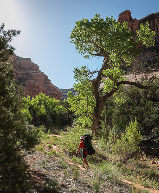 Hiking out of Bullet Canyon
