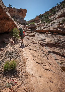 Hiking out of Bullet Canyon