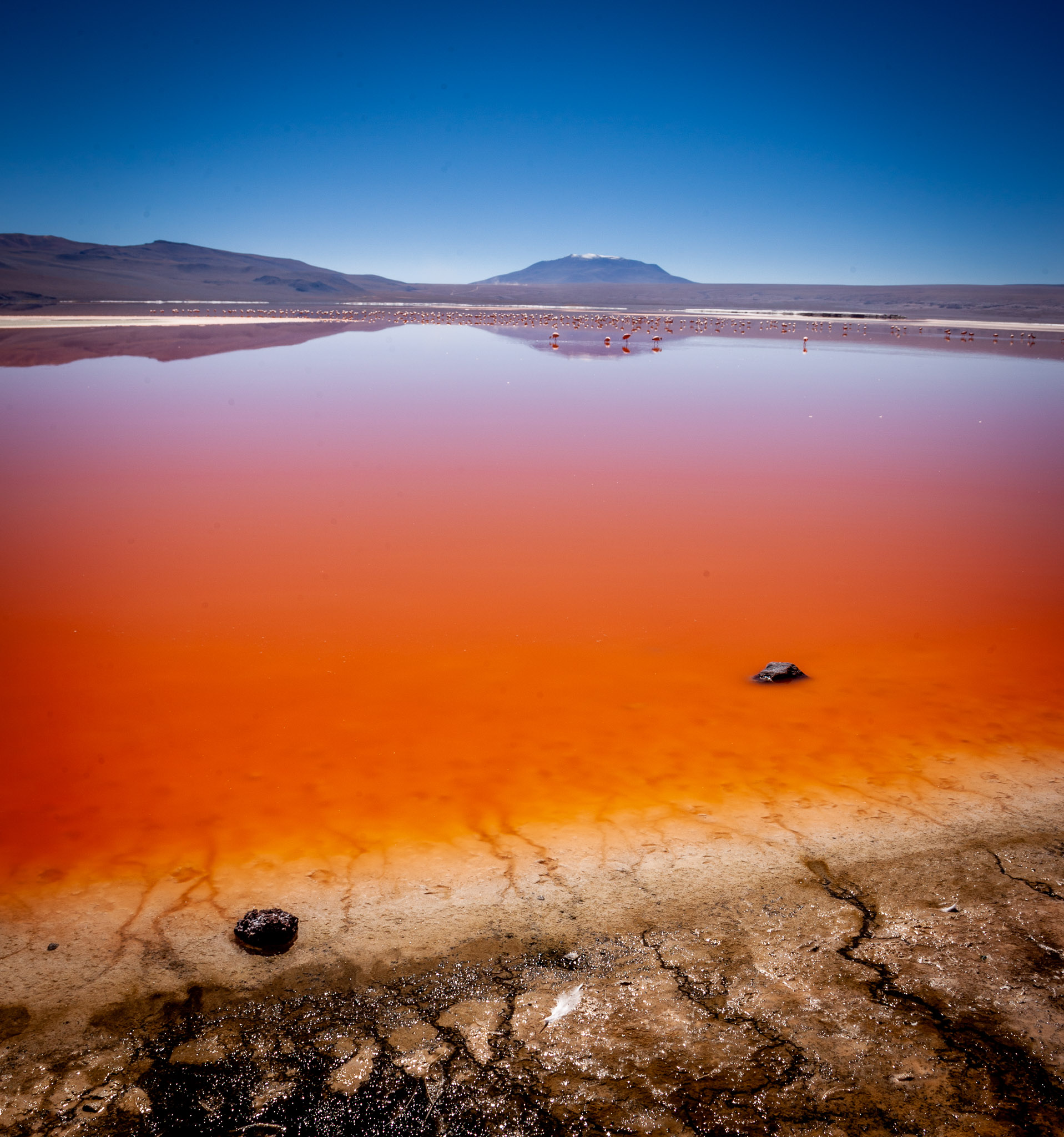 Laguna Colorada