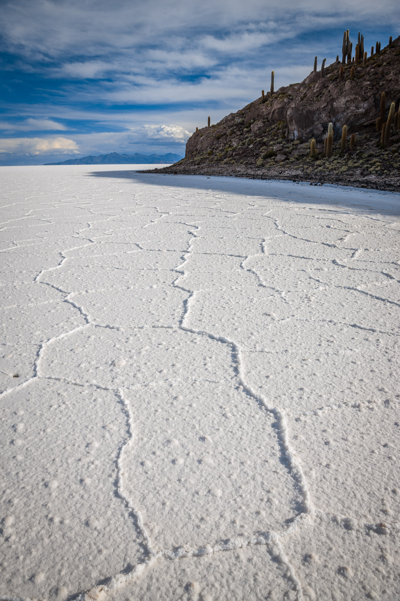 Isla Incahuasi surrounded by Salar de Uyuni