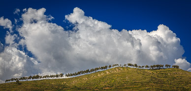 Hill above Tiquina Strait, Lake Titicaca