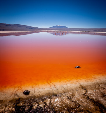 Laguna Colorada