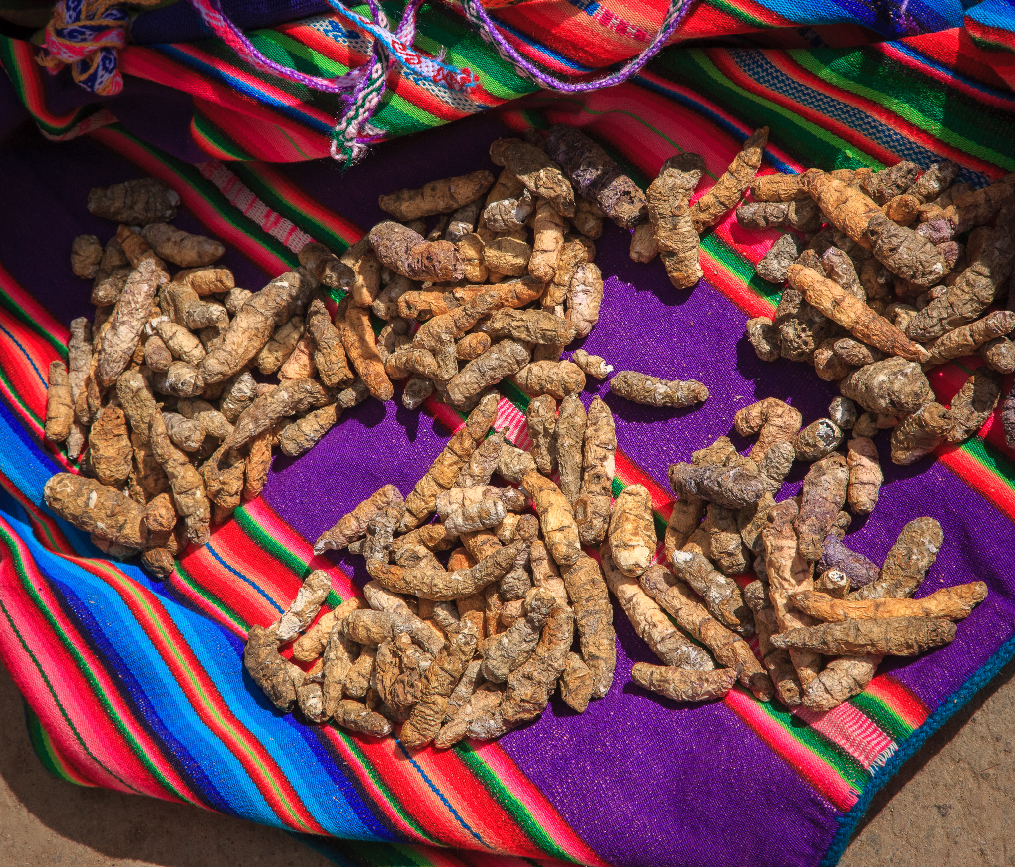 Dried potatoes, an Andean staple