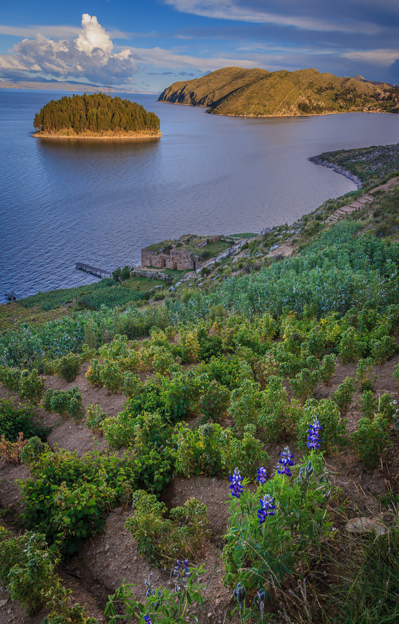 Sights on way to the EcoLodge on Isla del Sol