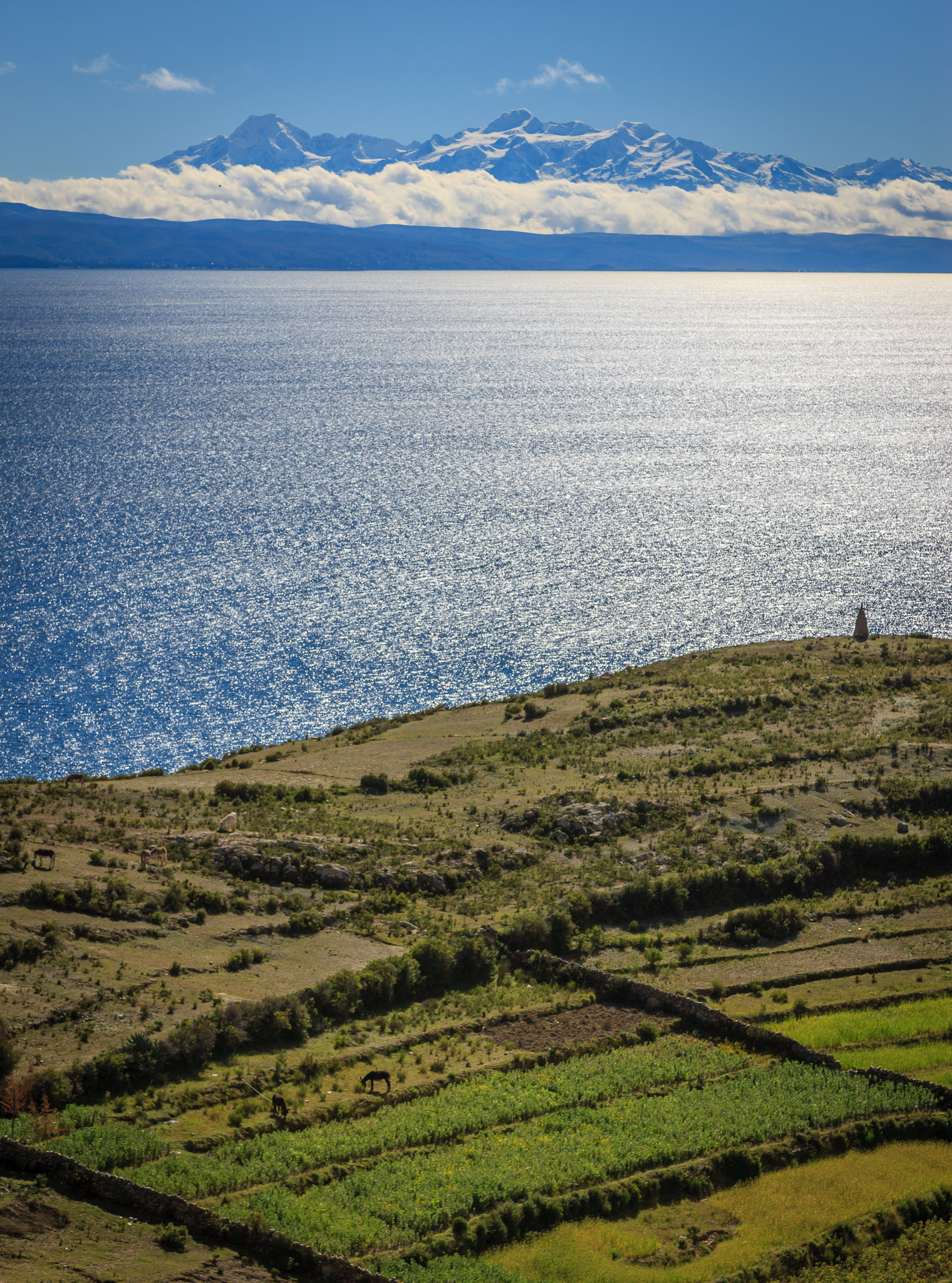 Rich agricultural fields on Isla del Sol, with Andes in background