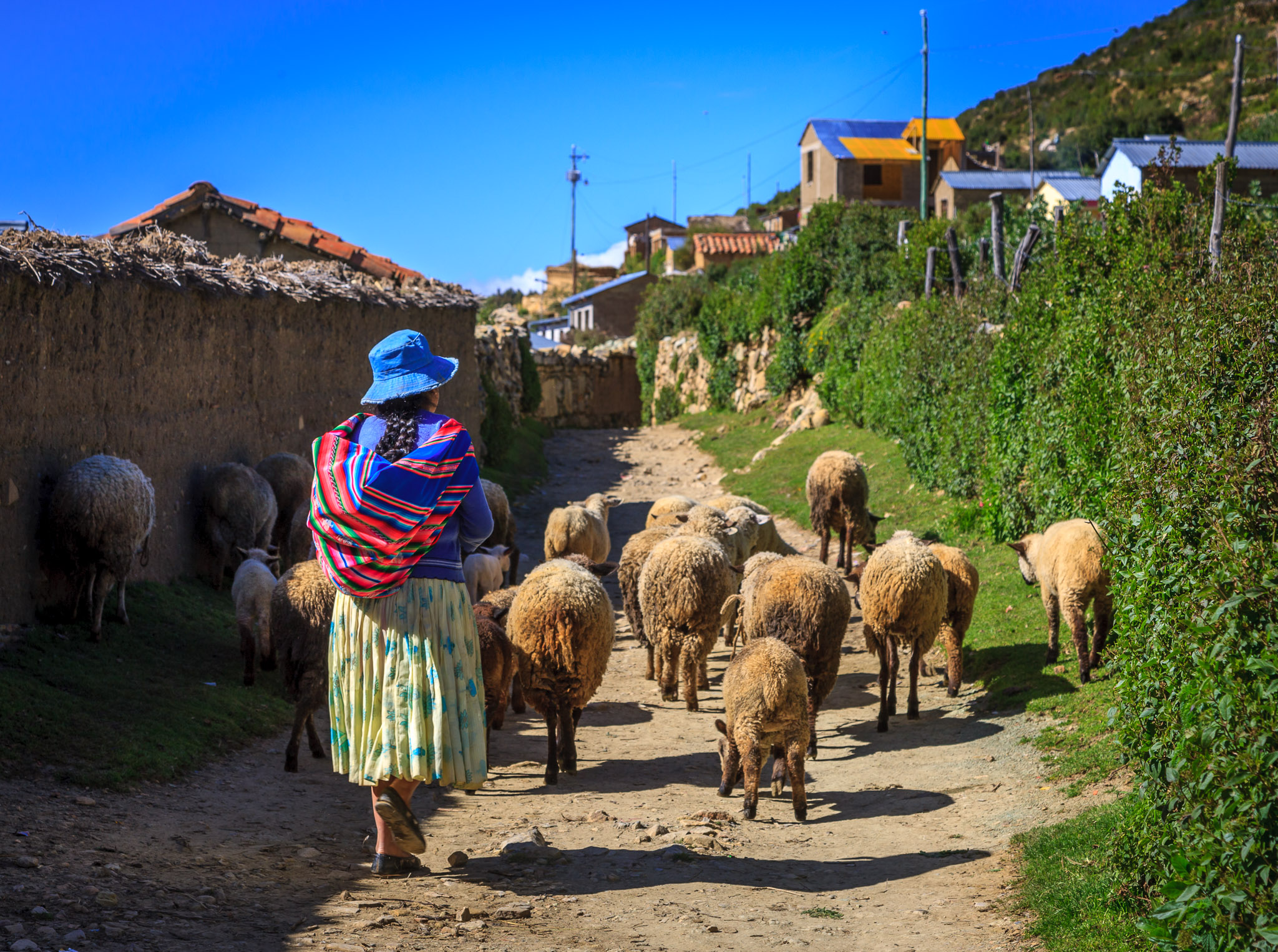 On hike to Chincana, Isla del Sol