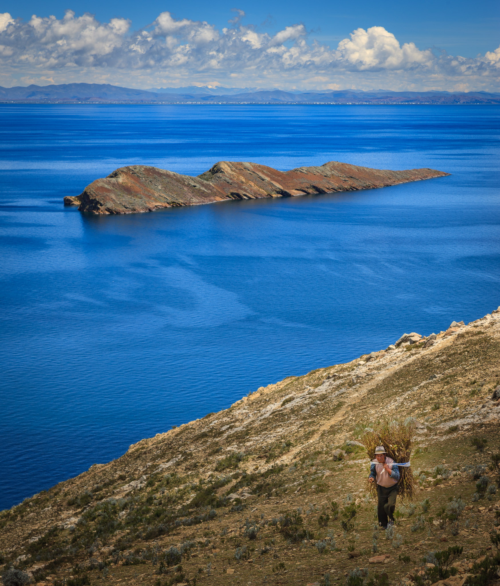 Gathering firewood, Isla del Sol