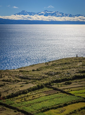 Rich agricultural fields on Isla del Sol, with Andes in background