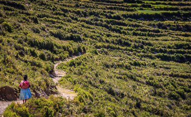 On hike to Chincana, , Isla del Sol