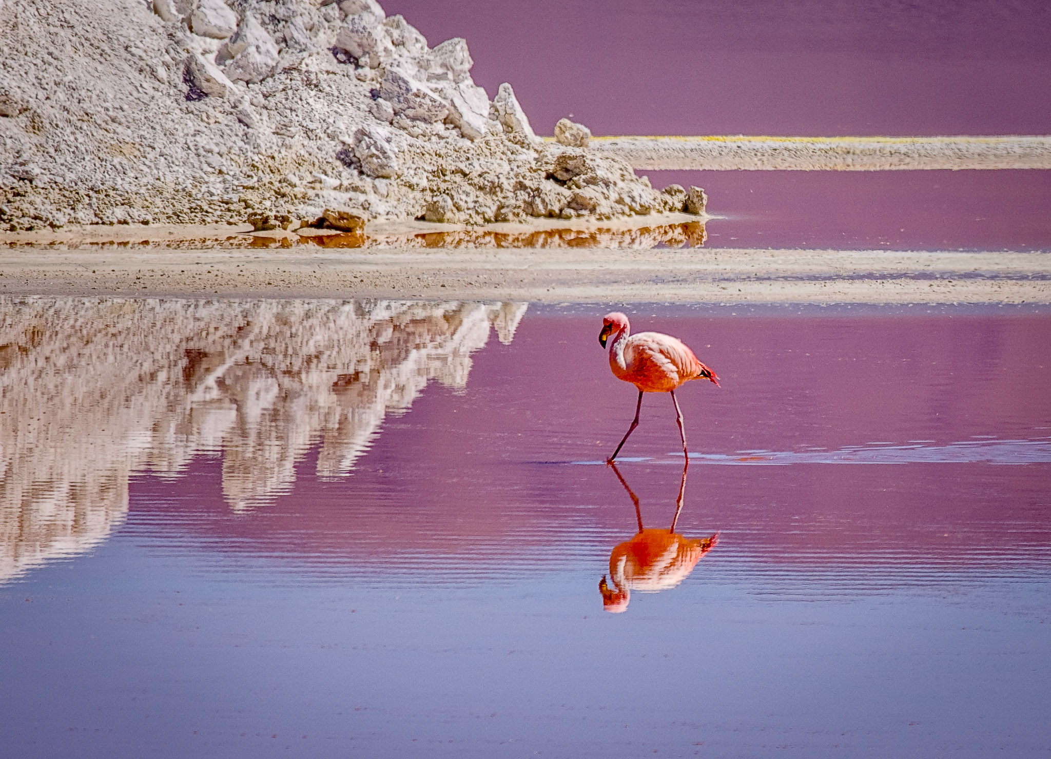 Laguna Colorada