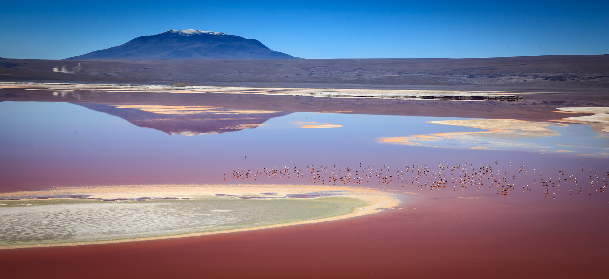 Laguna Colorada