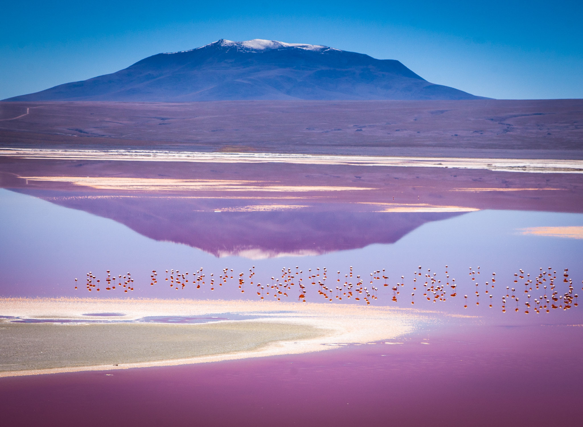 Laguna Colorada