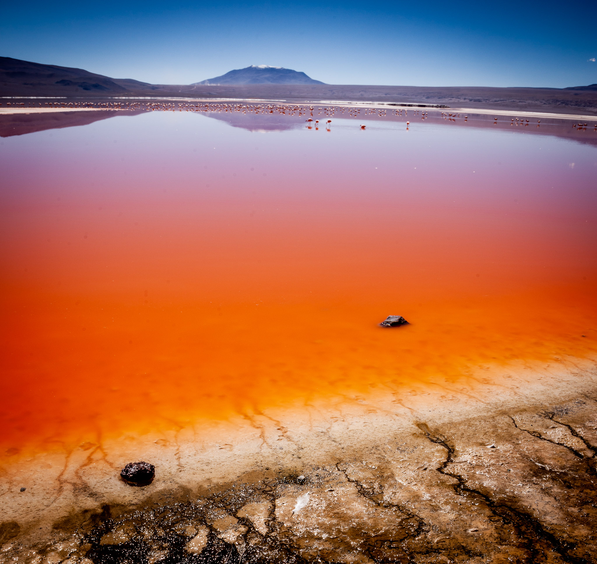 Laguna Colorada