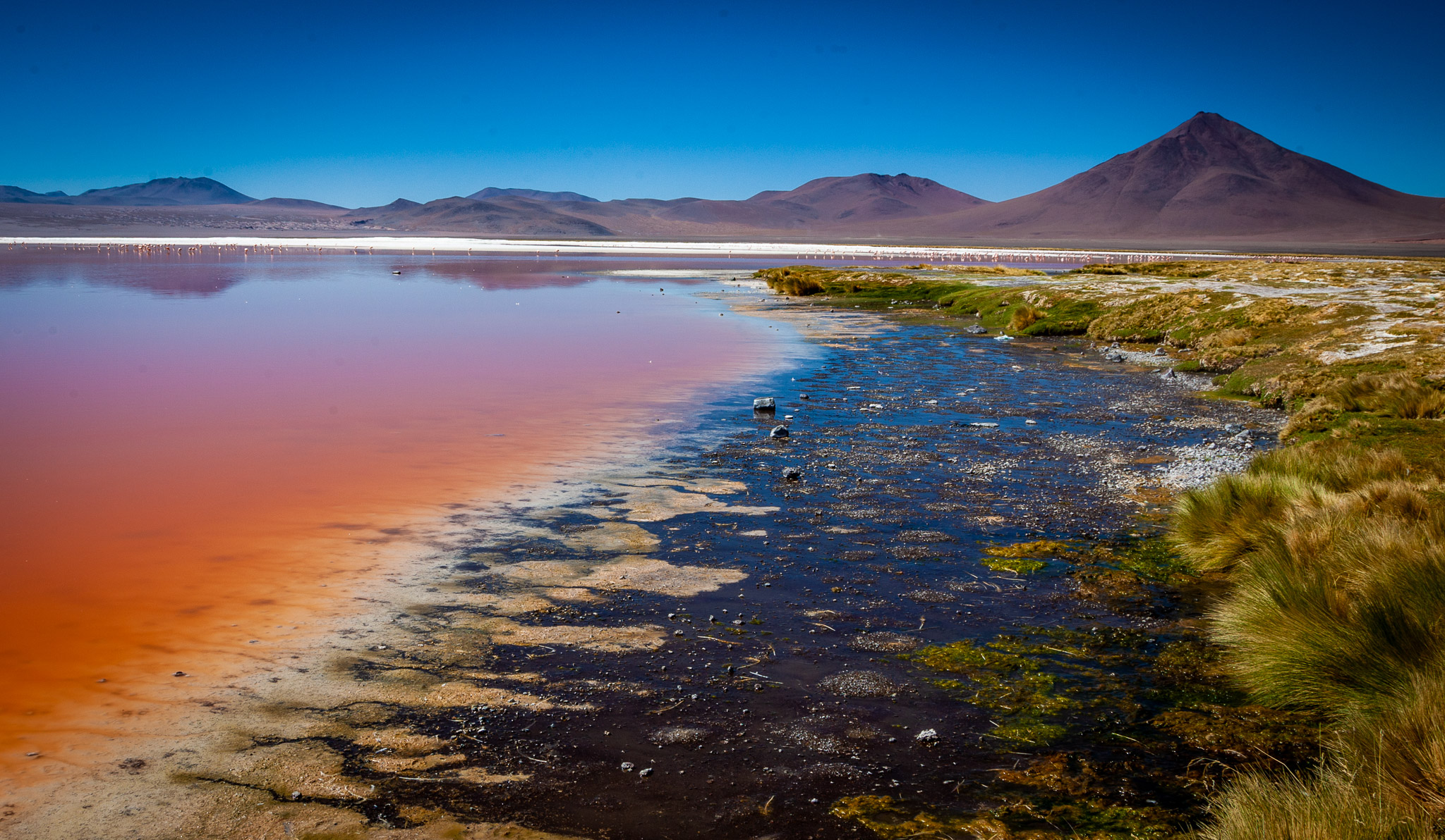 Laguna Colorada