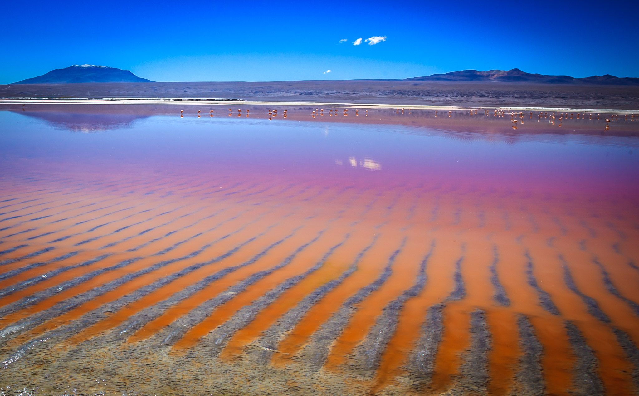 Laguna Colorada