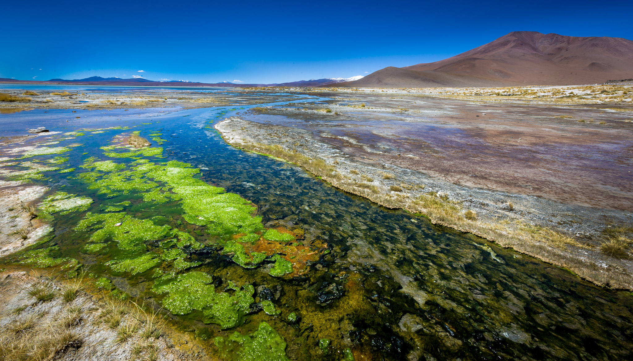 Hot springs at Laguna Challviri