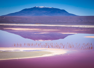 Laguna Colorada