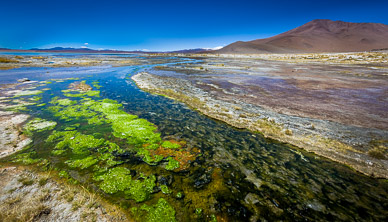 Hot springs at Laguna Challviri