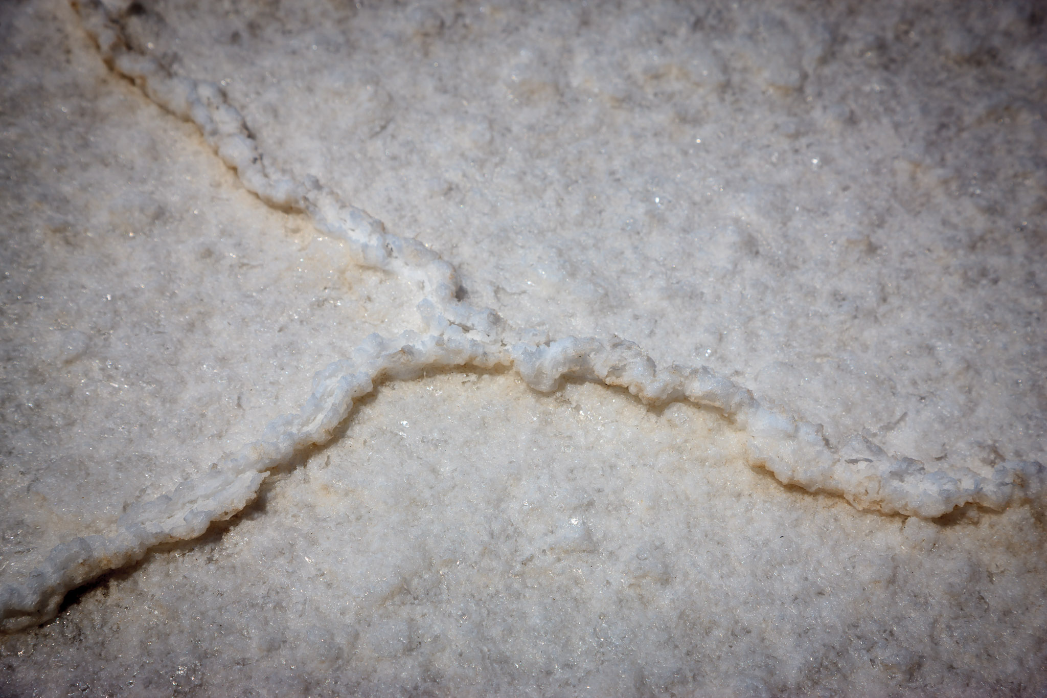 Small pressure ridges formed when salt dried