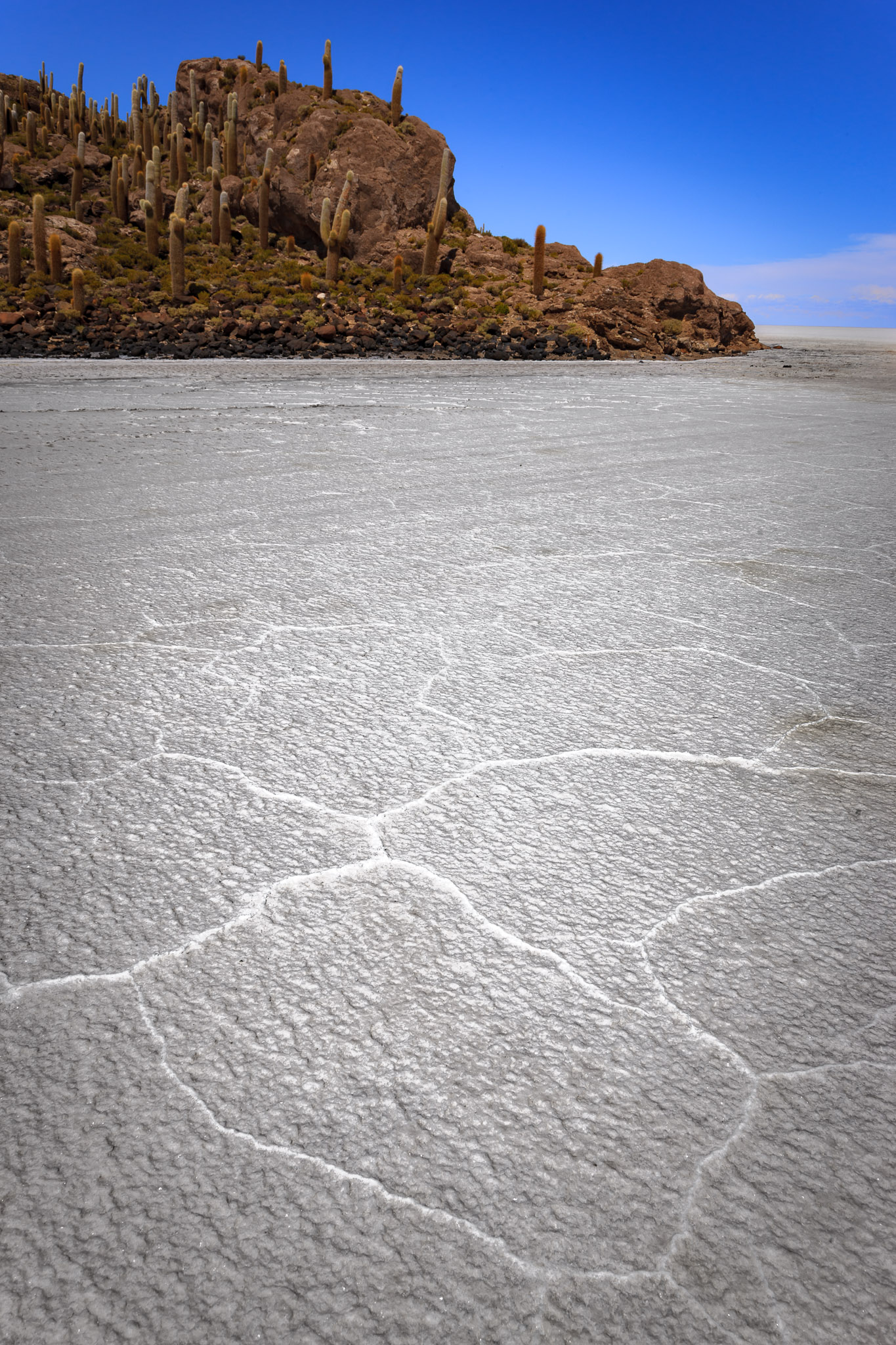 Isla Incahuasi surrounded by Salar de Uyuni