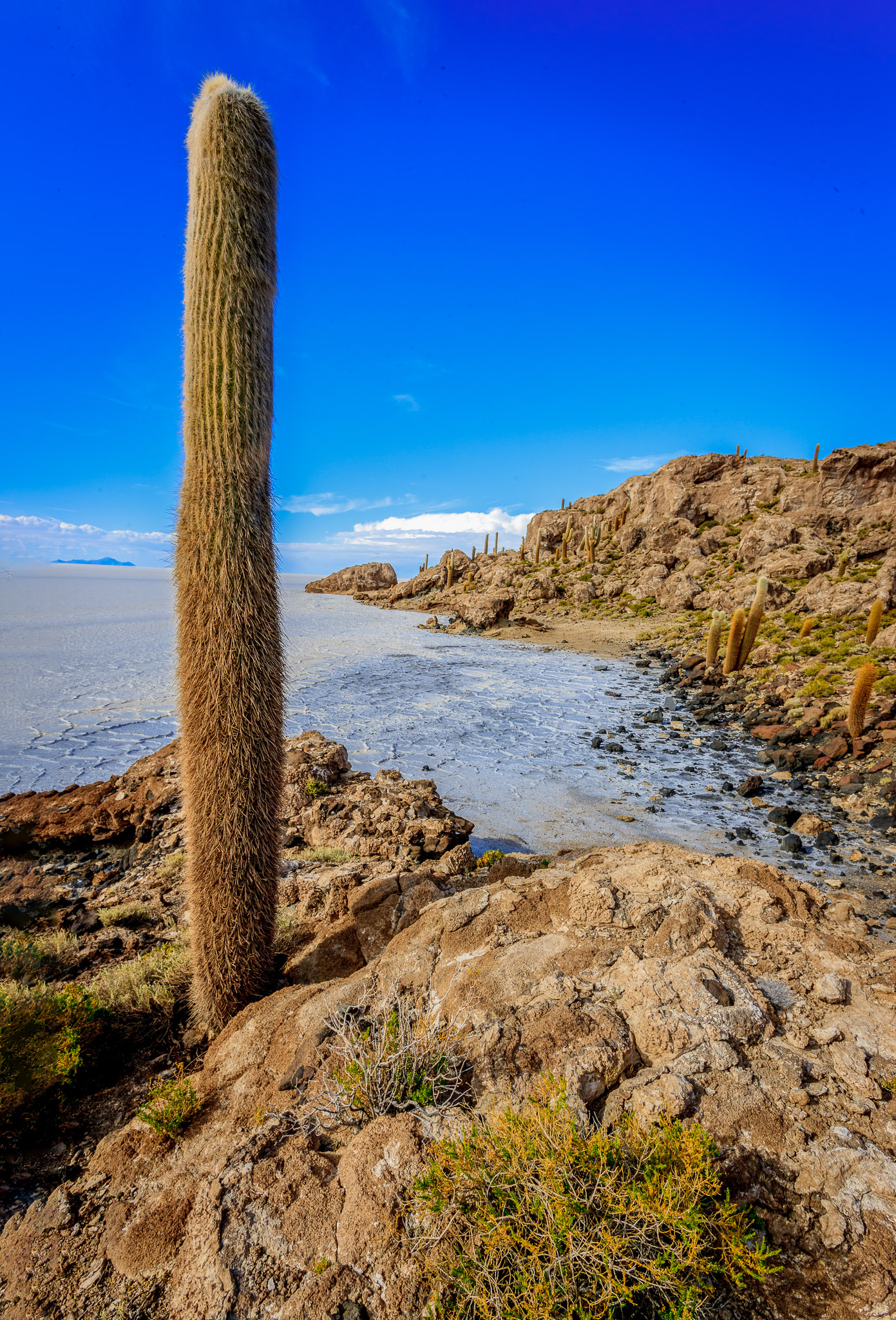 Isla Incahuasi. Salar de Uyuni