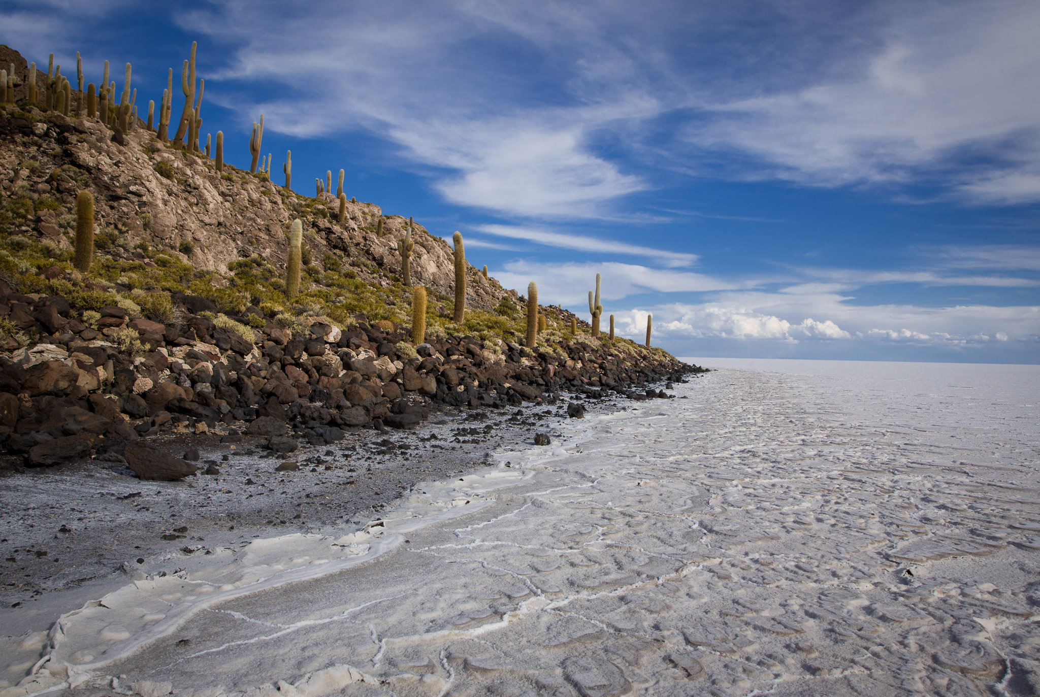 Isla Incahuasi surrounded by Salar de Uyuni