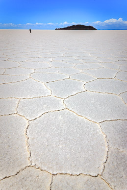 Reynaldo walking to Isla Incahuasi, Salar de Uyuni