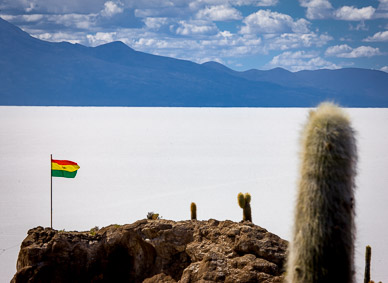 Isla Incahuasi, surrounded by the Salar de Uyuni