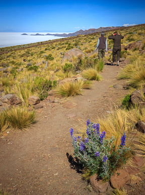 Martha & Reynaldo walking to Coquesa Cave