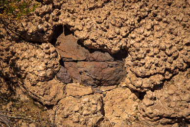 Rock formations coated in petrified coral