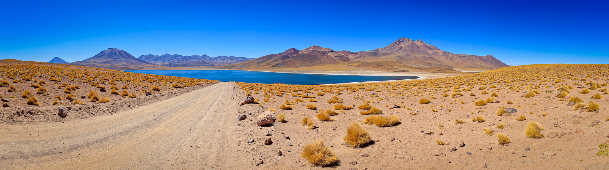 Laguna Miscanti