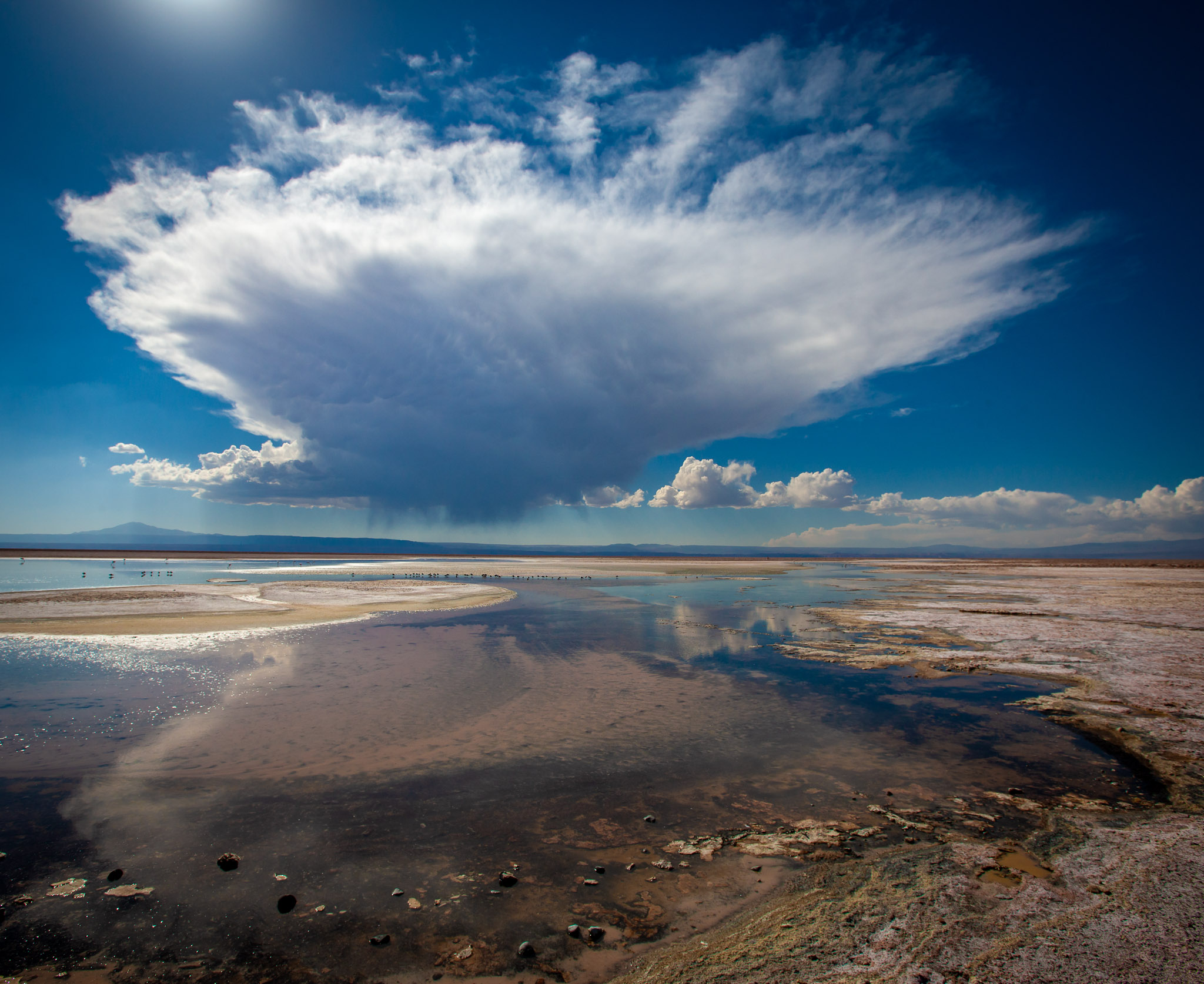 Thunderhead over Laguna Chaxa, Reserva Nacional Los Flamencos