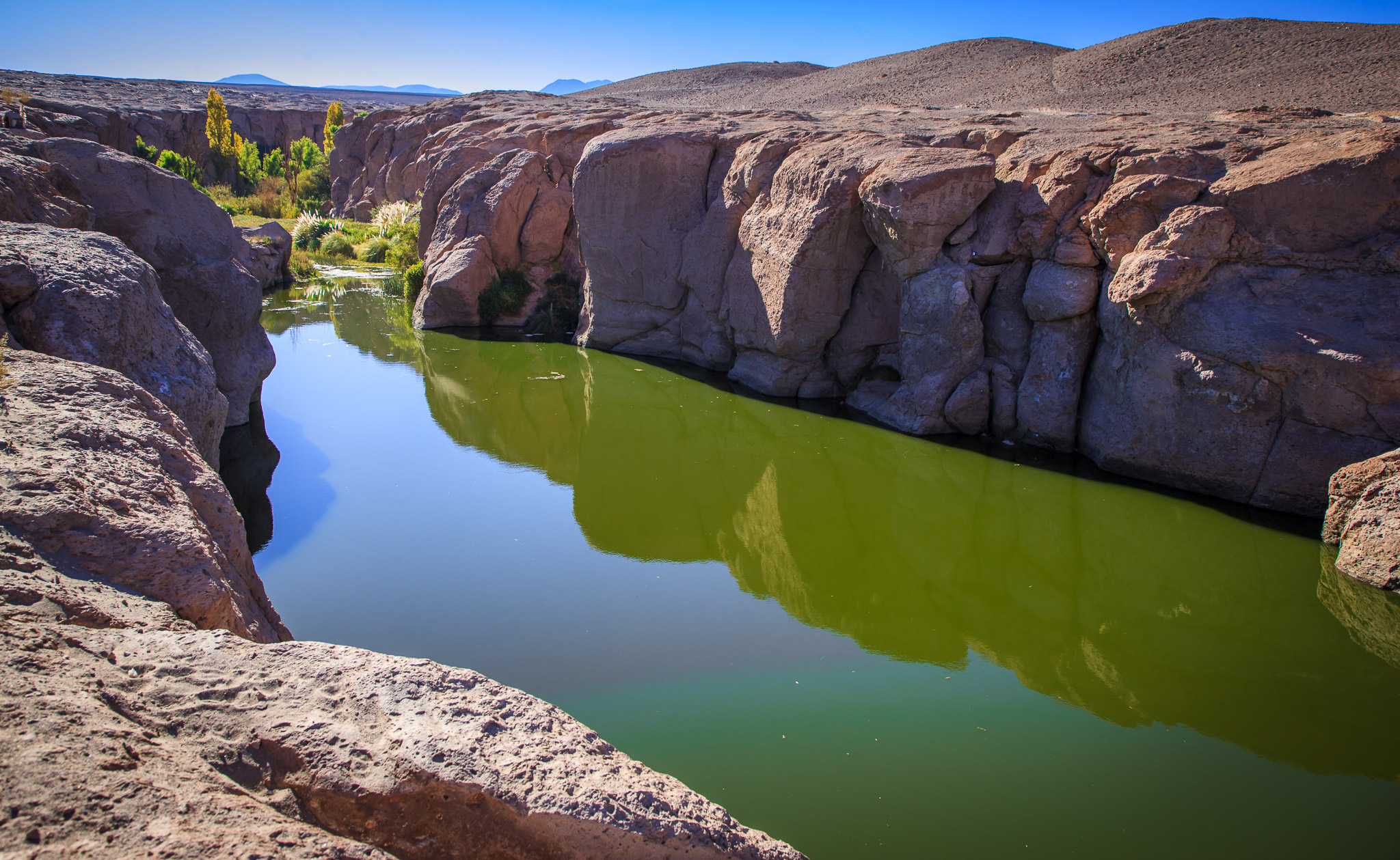 Typical oasis formed by Andean water flowing through Atacama Desert (Toconao)