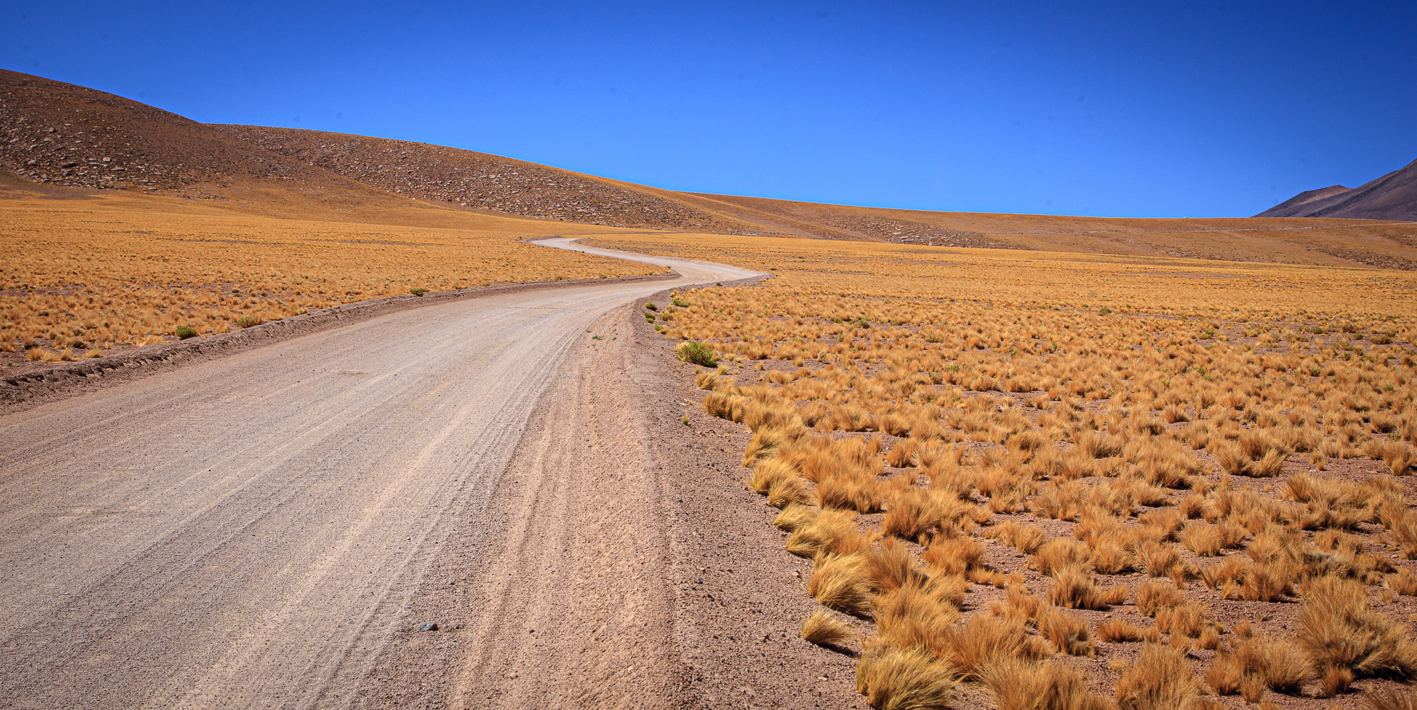 Road to Laguna Miscanti, Reserva Nacional Los Flamencos