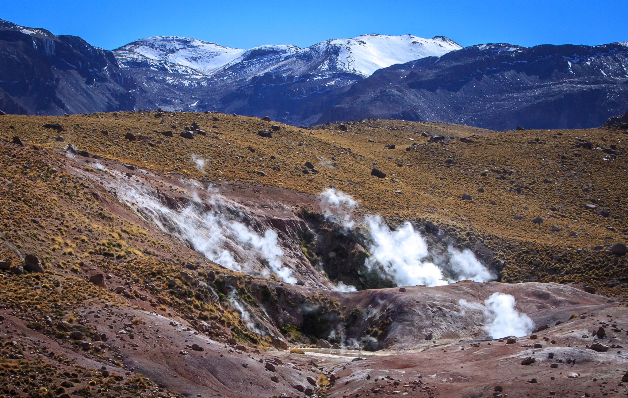 Geothermal area near Geysers de Tatio