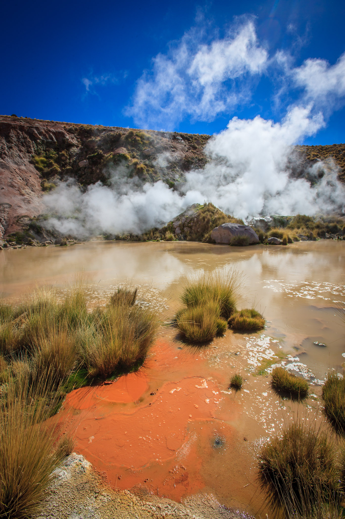 Geothermal area near Geysers de Tatio