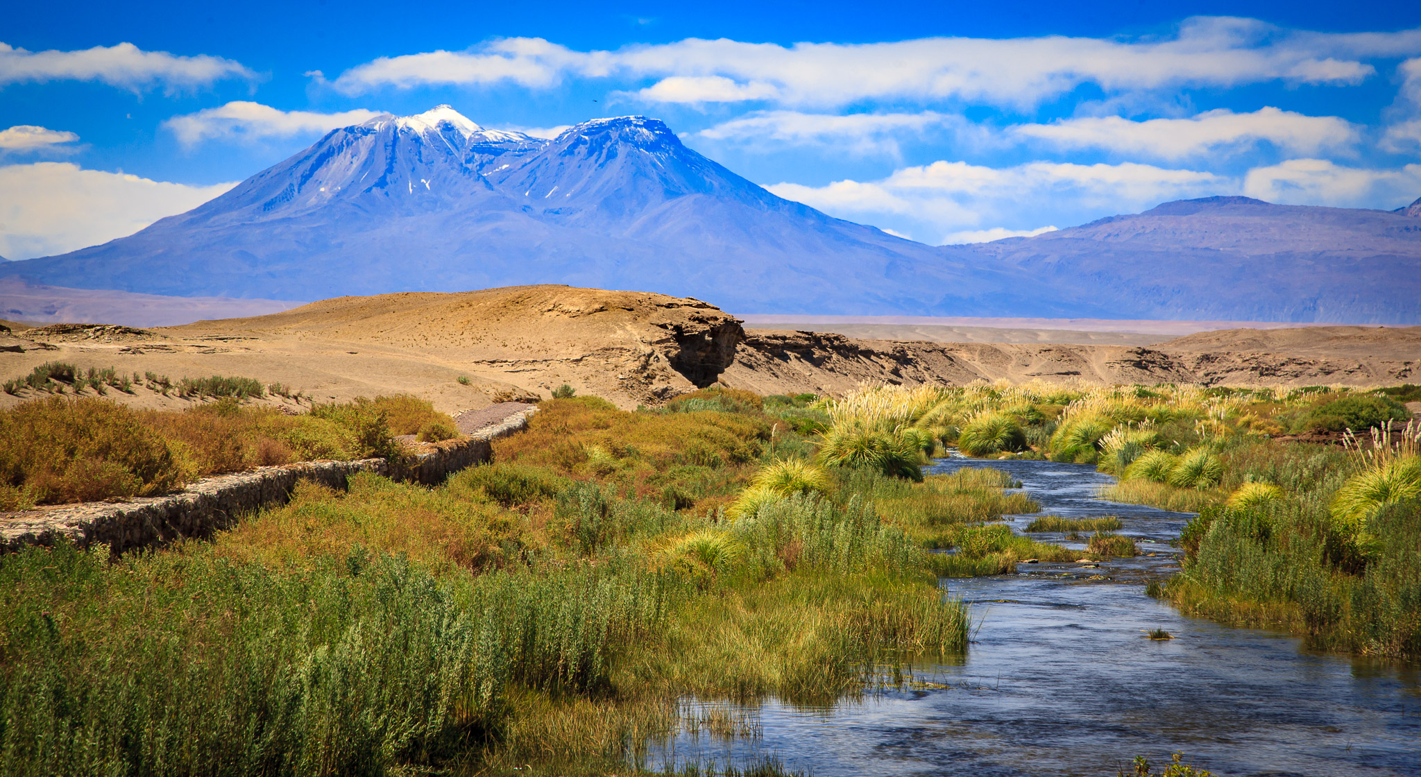 Typical oasis formed by Andean water flowing through Atacama Desert