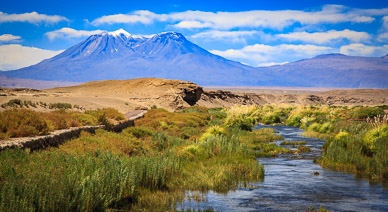 Typical oasis formed by Andean water flowing through Atacama Desert