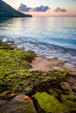 Early morning beach scene on Isla Bartolome