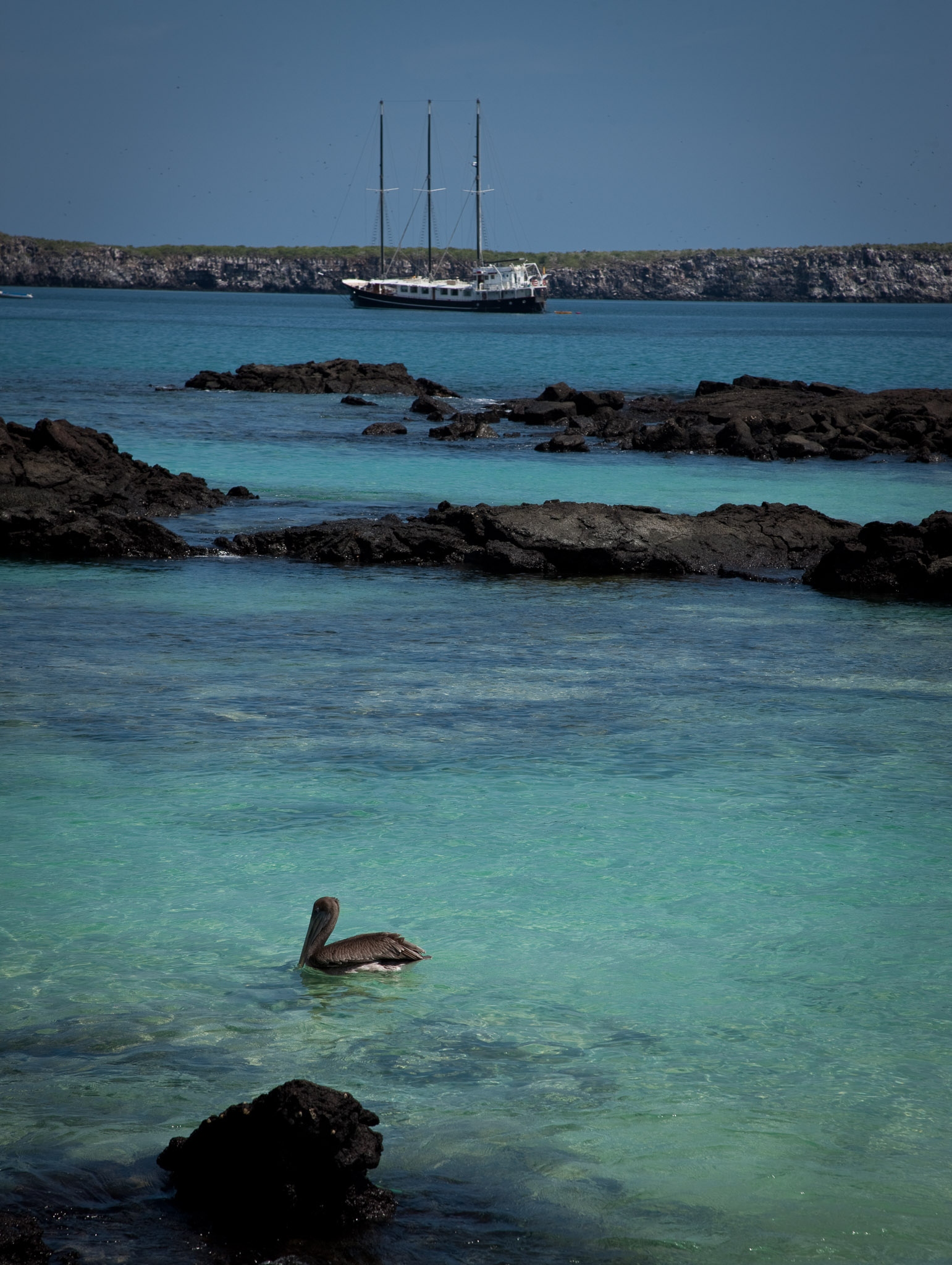 The Alta anchored in Isla Tower's caldera